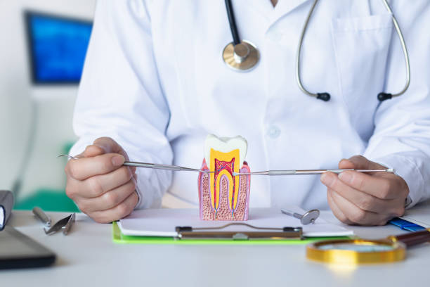 Best Emergency Wisdom Tooth Extraction in Valley View, PA